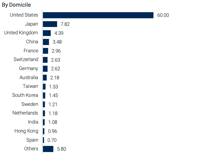 Country Distribution of a Global Equity Allocation by domicile